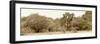 Awesome South Africa Collection Panoramic - Giraffe in the African Savannah-Philippe Hugonnard-Framed Photographic Print