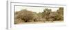 Awesome South Africa Collection Panoramic - Giraffe in the African Savannah-Philippe Hugonnard-Framed Photographic Print