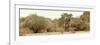 Awesome South Africa Collection Panoramic - Giraffe in the African Savannah-Philippe Hugonnard-Framed Photographic Print