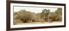 Awesome South Africa Collection Panoramic - Giraffe in the African Savannah-Philippe Hugonnard-Framed Photographic Print