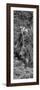 Awesome South Africa Collection Panoramic - Giraffe in the Bush B&W-Philippe Hugonnard-Framed Photographic Print