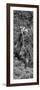 Awesome South Africa Collection Panoramic - Giraffe in the Bush B&W-Philippe Hugonnard-Framed Photographic Print