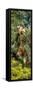 Awesome South Africa Collection Panoramic - Giraffe in the Bush-Philippe Hugonnard-Framed Stretched Canvas