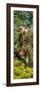 Awesome South Africa Collection Panoramic - Giraffe in the Bush-Philippe Hugonnard-Framed Photographic Print