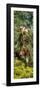 Awesome South Africa Collection Panoramic - Giraffe in the Bush-Philippe Hugonnard-Framed Photographic Print