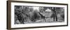 Awesome South Africa Collection Panoramic - Giraffe in the Savanna B&W-Philippe Hugonnard-Framed Photographic Print