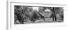 Awesome South Africa Collection Panoramic - Giraffe in the Savanna B&W-Philippe Hugonnard-Framed Photographic Print