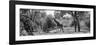 Awesome South Africa Collection Panoramic - Giraffe in the Savanna B&W-Philippe Hugonnard-Framed Photographic Print