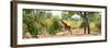 Awesome South Africa Collection Panoramic - Giraffe in the Savanna-Philippe Hugonnard-Framed Photographic Print