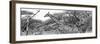Awesome South Africa Collection Panoramic - Giraffe Kruger Park B&W-Philippe Hugonnard-Framed Photographic Print