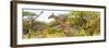 Awesome South Africa Collection Panoramic - Giraffe Kruger Park-Philippe Hugonnard-Framed Photographic Print