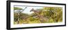 Awesome South Africa Collection Panoramic - Giraffe Kruger Park-Philippe Hugonnard-Framed Photographic Print