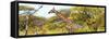 Awesome South Africa Collection Panoramic - Giraffe Kruger Park-Philippe Hugonnard-Framed Stretched Canvas