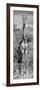 Awesome South Africa Collection Panoramic - Giraffe Portrait B&W-Philippe Hugonnard-Framed Photographic Print