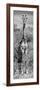 Awesome South Africa Collection Panoramic - Giraffe Portrait B&W-Philippe Hugonnard-Framed Photographic Print