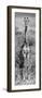 Awesome South Africa Collection Panoramic - Giraffe Portrait B&W-Philippe Hugonnard-Framed Premium Photographic Print