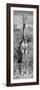 Awesome South Africa Collection Panoramic - Giraffe Portrait B&W-Philippe Hugonnard-Framed Photographic Print