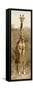 Awesome South Africa Collection Panoramic - Giraffe Portrait II-Philippe Hugonnard-Framed Stretched Canvas
