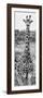 Awesome South Africa Collection Panoramic - Giraffe Portrait III B&W-Philippe Hugonnard-Framed Photographic Print