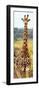 Awesome South Africa Collection Panoramic - Giraffe Portrait III-Philippe Hugonnard-Framed Photographic Print