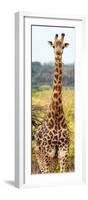 Awesome South Africa Collection Panoramic - Giraffe Portrait III-Philippe Hugonnard-Framed Photographic Print