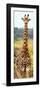 Awesome South Africa Collection Panoramic - Giraffe Portrait III-Philippe Hugonnard-Framed Photographic Print