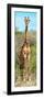 Awesome South Africa Collection Panoramic - Giraffe Portrait-Philippe Hugonnard-Framed Photographic Print