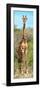 Awesome South Africa Collection Panoramic - Giraffe Portrait-Philippe Hugonnard-Framed Photographic Print