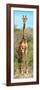 Awesome South Africa Collection Panoramic - Giraffe Portrait-Philippe Hugonnard-Framed Photographic Print