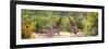 Awesome South Africa Collection Panoramic - Giraffes and Burchell's Zebra-Philippe Hugonnard-Framed Photographic Print