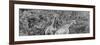 Awesome South Africa Collection Panoramic - Giraffes in Forest B&W-Philippe Hugonnard-Framed Photographic Print