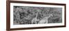 Awesome South Africa Collection Panoramic - Giraffes in Forest B&W-Philippe Hugonnard-Framed Photographic Print