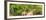 Awesome South Africa Collection Panoramic - Giraffes in Forest-Philippe Hugonnard-Framed Photographic Print