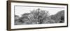 Awesome South Africa Collection Panoramic - Giraffes in Savannah B&W-Philippe Hugonnard-Framed Photographic Print