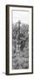 Awesome South Africa Collection Panoramic - Giraffes in Savannah II B&W-Philippe Hugonnard-Framed Photographic Print