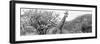 Awesome South Africa Collection Panoramic - Giraffes in Savannah III B&W-Philippe Hugonnard-Framed Photographic Print