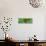 Awesome South Africa Collection Panoramic - Green Bo-Kaap House-Philippe Hugonnard-Stretched Canvas displayed on a wall