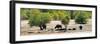 Awesome South Africa Collection Panoramic - Herd of Buffalo-Philippe Hugonnard-Framed Photographic Print