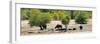 Awesome South Africa Collection Panoramic - Herd of Buffalo-Philippe Hugonnard-Framed Photographic Print