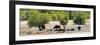 Awesome South Africa Collection Panoramic - Herd of Buffalo-Philippe Hugonnard-Framed Photographic Print