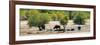 Awesome South Africa Collection Panoramic - Herd of Buffalo-Philippe Hugonnard-Framed Photographic Print