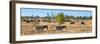 Awesome South Africa Collection Panoramic - Herd of Burchell's Zebras II-Philippe Hugonnard-Framed Photographic Print