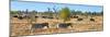 Awesome South Africa Collection Panoramic - Herd of Burchell's Zebras II-Philippe Hugonnard-Mounted Photographic Print