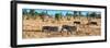 Awesome South Africa Collection Panoramic - Herd of Burchell's Zebras-Philippe Hugonnard-Framed Photographic Print