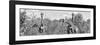 Awesome South Africa Collection Panoramic - Herd of Giraffes B&W-Philippe Hugonnard-Framed Photographic Print