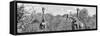 Awesome South Africa Collection Panoramic - Herd of Giraffes B&W-Philippe Hugonnard-Framed Stretched Canvas