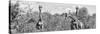 Awesome South Africa Collection Panoramic - Herd of Giraffes B&W-Philippe Hugonnard-Stretched Canvas