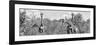 Awesome South Africa Collection Panoramic - Herd of Giraffes B&W-Philippe Hugonnard-Framed Photographic Print