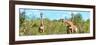 Awesome South Africa Collection Panoramic - Herd of Giraffes-Philippe Hugonnard-Framed Photographic Print