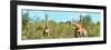 Awesome South Africa Collection Panoramic - Herd of Giraffes-Philippe Hugonnard-Framed Photographic Print